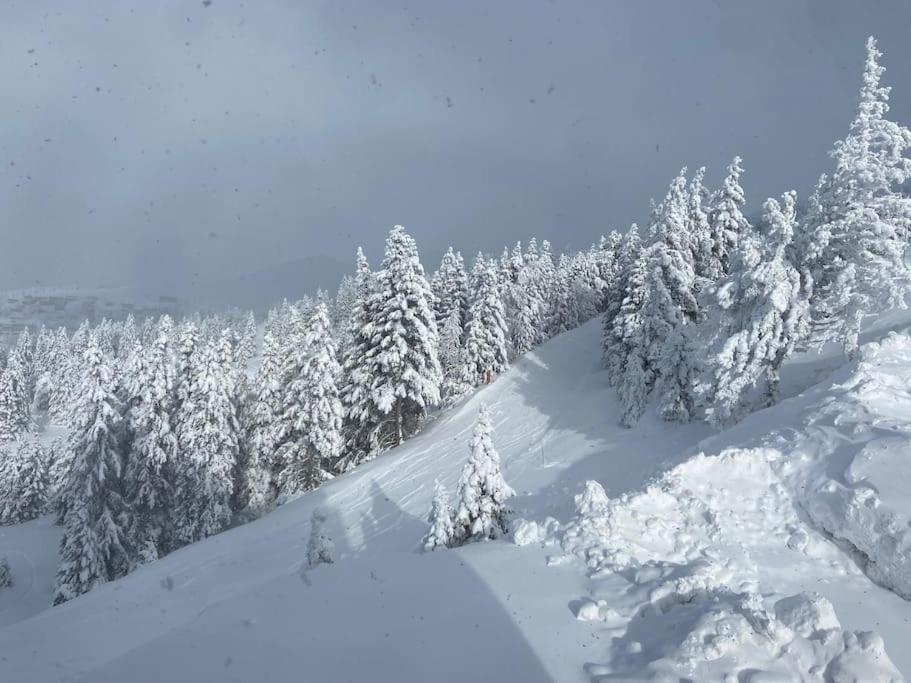 Appartement Fred Chamrousse Dış mekan fotoğraf